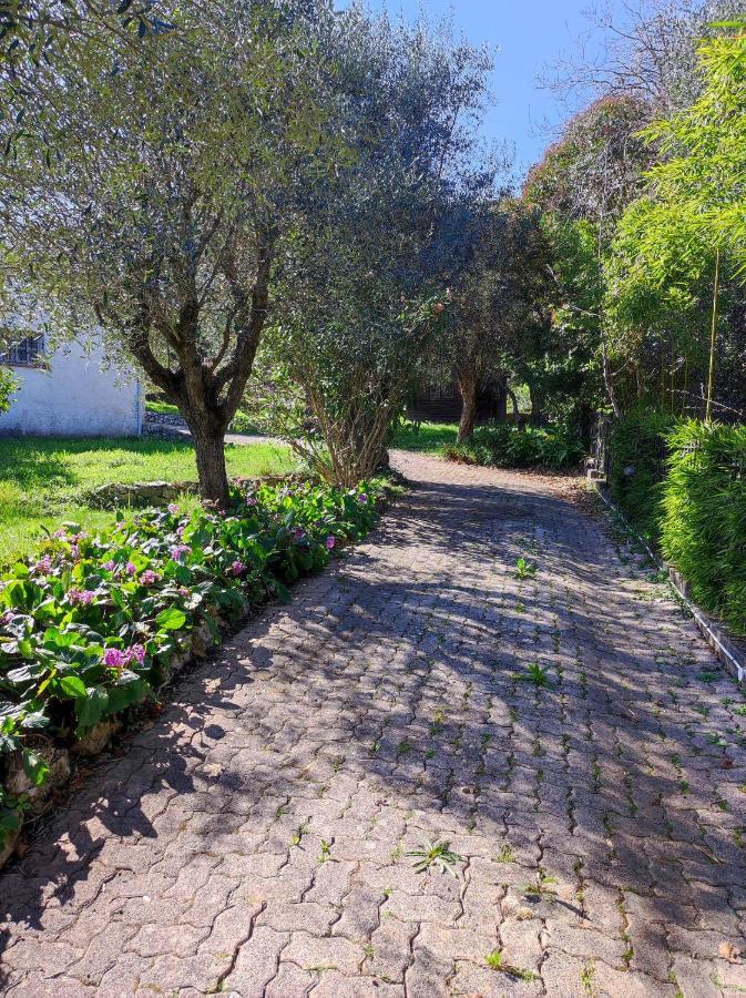 Villa Olivaie St Ange 라가우데 외부 사진